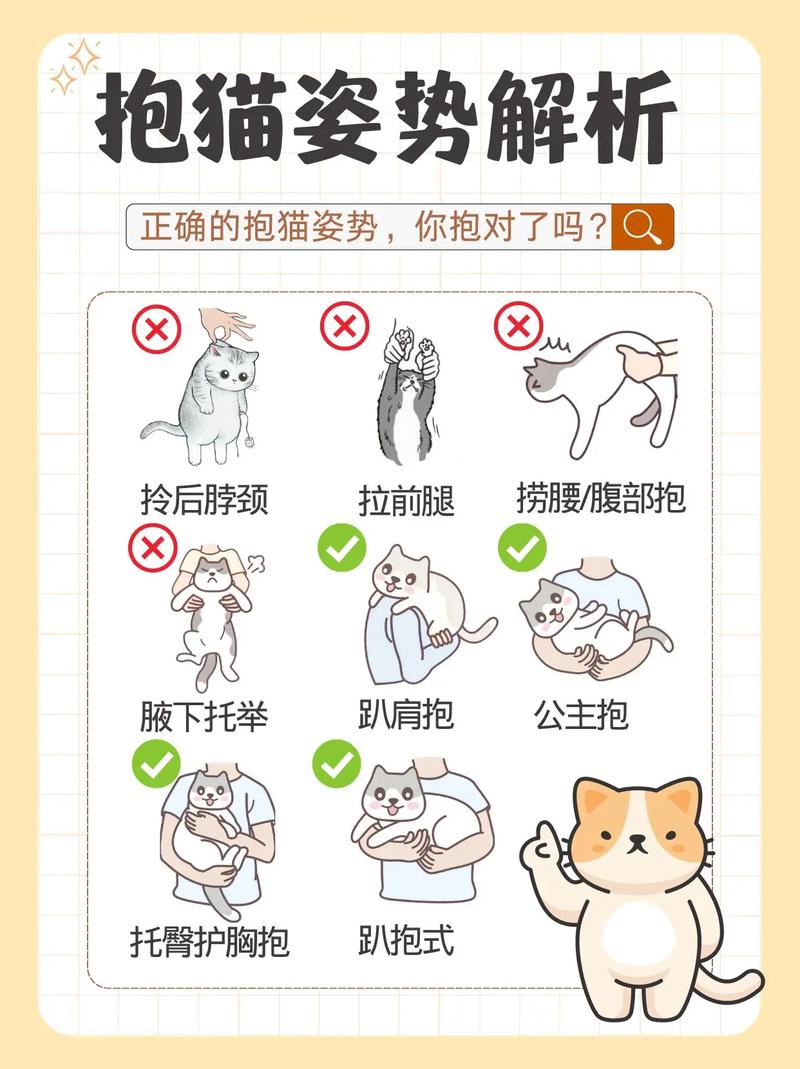 猫咪不让抱怎么办,猫咪不让你抱一直想挣脱?-第1张图片-后鲨宠物 猫咪不让抱怎么办,猫咪不让你抱一直想挣脱?-第1张图片-后鲨宠物