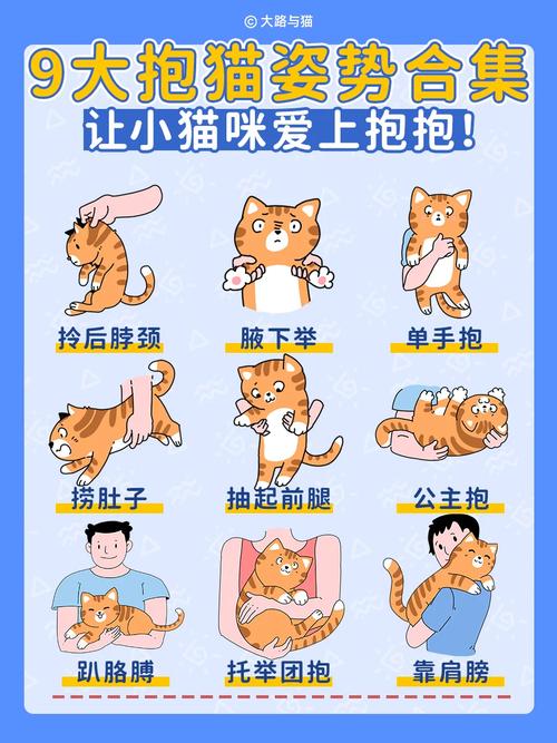 猫咪不让抱怎么办,猫咪不让你抱一直想挣脱?-第2张图片-后鲨宠物 猫咪不让抱怎么办,猫咪不让你抱一直想挣脱?-第2张图片-后鲨宠物