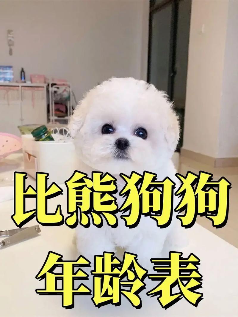 狗狗多大能吃蛋黄_多大的狗可以开始吃蛋黄-第3张图片-后鲨宠物 狗狗多大能吃蛋黄_多大的狗可以开始吃蛋黄-第3张图片-后鲨宠物