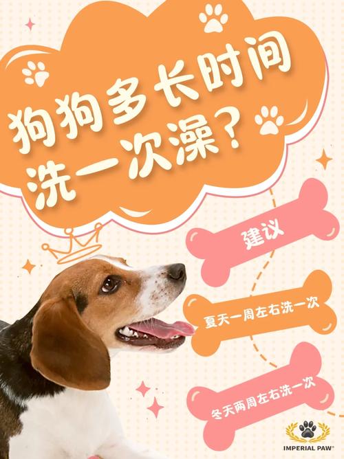 狗狗可以经常洗澡吗，一个多月的狗狗能洗澡吗?？-第1张图片-后鲨宠物