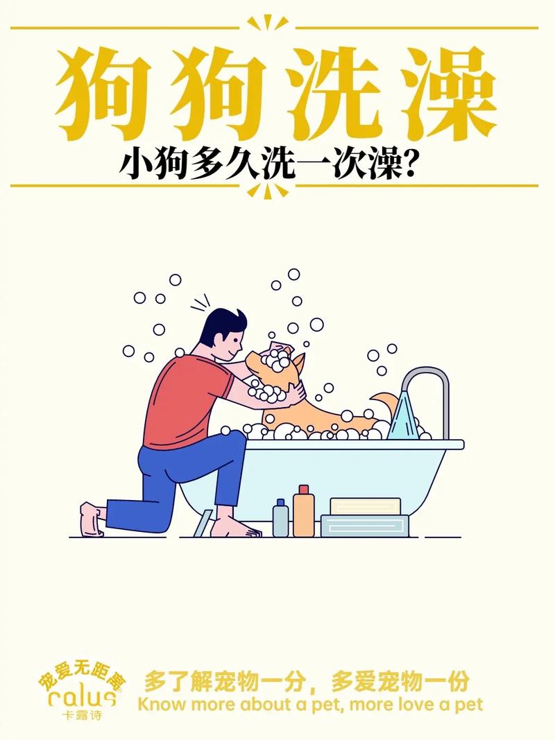 狗狗可以经常洗澡吗，一个多月的狗狗能洗澡吗?？-第5张图片-后鲨宠物