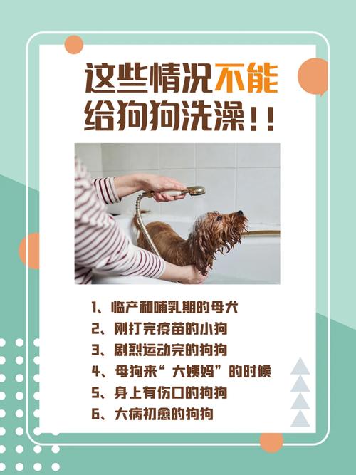 狗狗可以经常洗澡吗，一个多月的狗狗能洗澡吗?？-第6张图片-后鲨宠物
