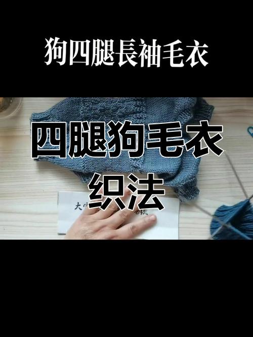 狗狗毛衣编织教程,狗狗毛衣编织教程图解初学者视频-第4张图片-后鲨宠物 狗狗毛衣编织教程,狗狗毛衣编织教程图解初学者视频-第4张图片-后鲨宠物