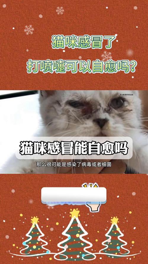 猫咪感冒会自己好吗,猫感冒会自己恢复好吗?-第2张图片-后鲨宠物 猫咪感冒会自己好吗,猫感冒会自己恢复好吗?-第2张图片-后鲨宠物