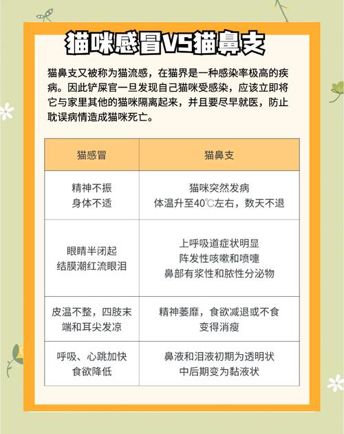 猫咪感冒会自己好吗,猫感冒会自己恢复好吗?-第5张图片-后鲨宠物 猫咪感冒会自己好吗,猫感冒会自己恢复好吗?-第5张图片-后鲨宠物