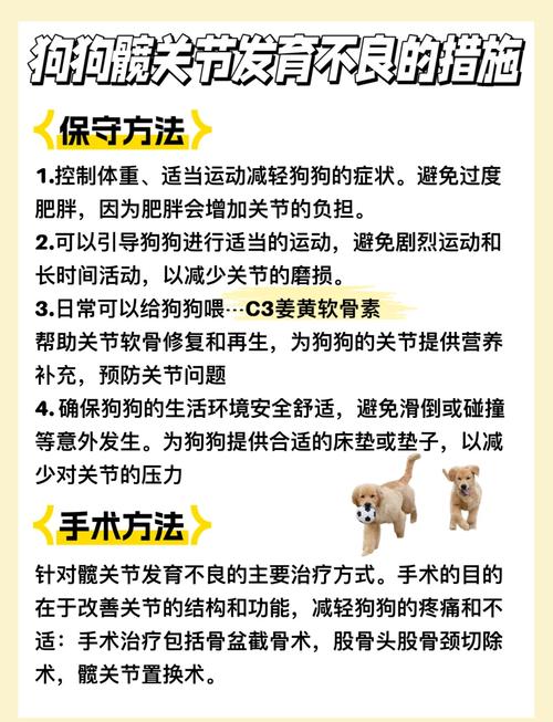 狗狗髋关节发育不良的症状,狗狗的髋关节发育异常是什么表现-第2张图片-后鲨宠物 狗狗髋关节发育不良的症状,狗狗的髋关节发育异常是什么表现-第2张图片-后鲨宠物