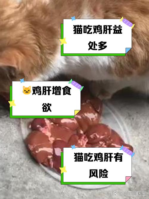 猫咪能吃鸭肝吗,猫咪可以吃鸭肝不-第1张图片-后鲨宠物 猫咪能吃鸭肝吗,猫咪可以吃鸭肝不-第1张图片-后鲨宠物