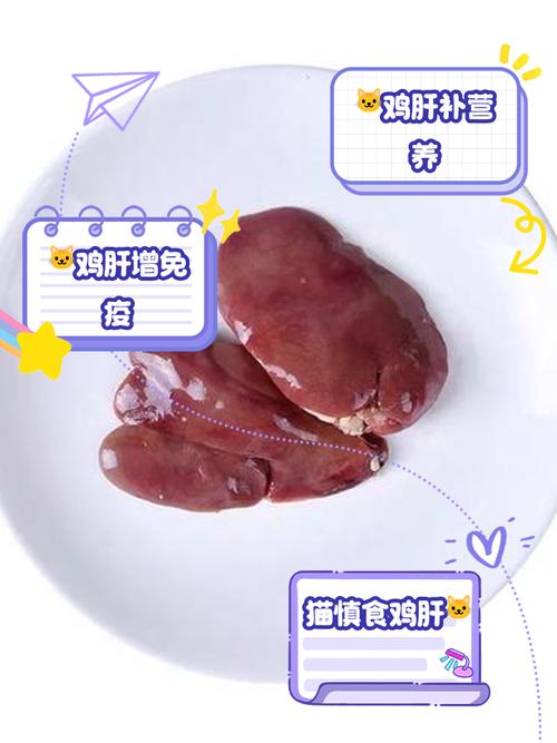 猫咪能吃鸭肝吗,猫咪可以吃鸭肝不-第4张图片-后鲨宠物 猫咪能吃鸭肝吗,猫咪可以吃鸭肝不-第4张图片-后鲨宠物