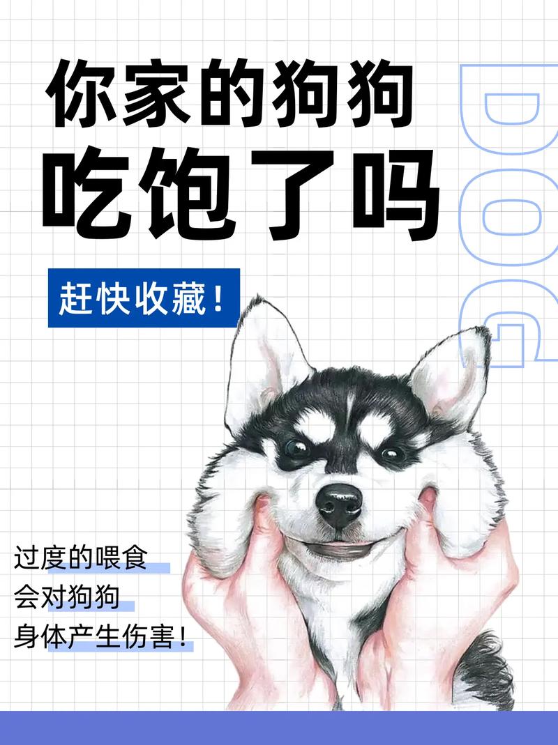狗狗吃饱的表现,狗狗吃饱了是哪里会鼓起来?-第1张图片-后鲨宠物 狗狗吃饱的表现,狗狗吃饱了是哪里会鼓起来?-第1张图片-后鲨宠物