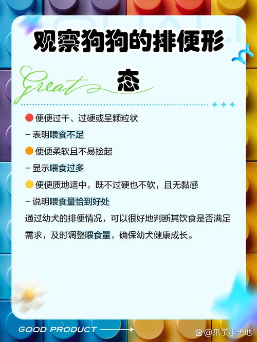 狗狗吃饱的表现,狗狗吃饱了是哪里会鼓起来?-第3张图片-后鲨宠物 狗狗吃饱的表现,狗狗吃饱了是哪里会鼓起来?-第3张图片-后鲨宠物