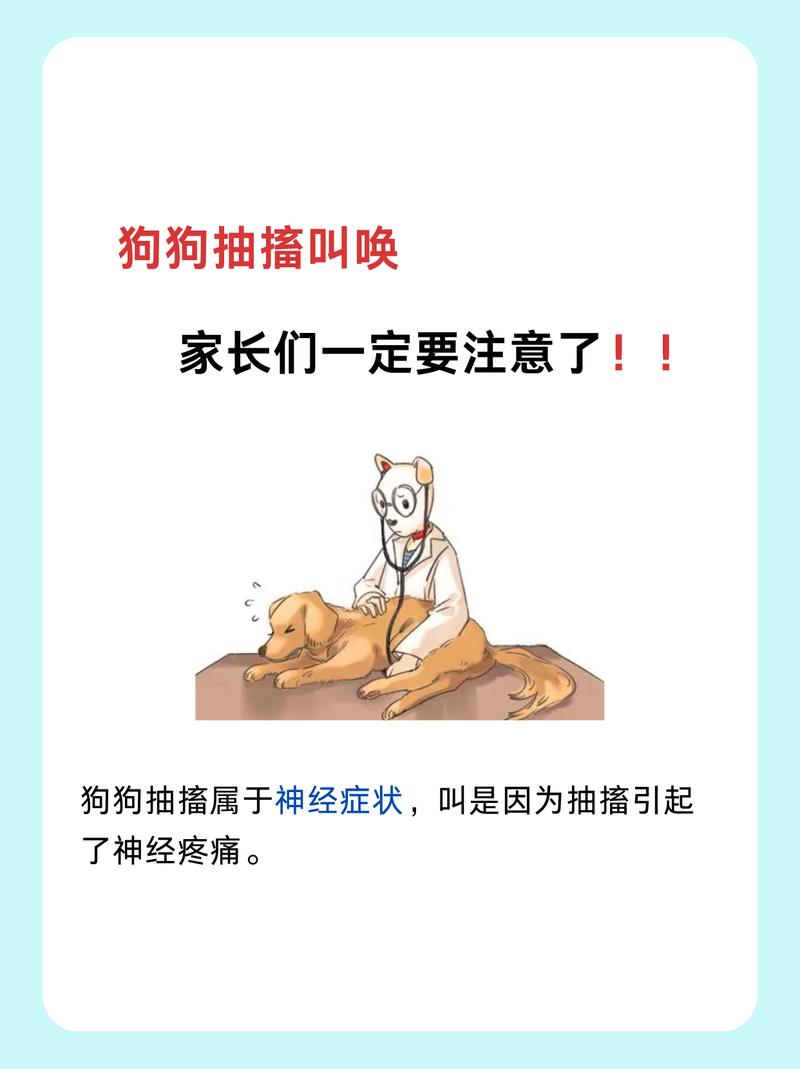 狗狗抽搐是怎么回事_狗狗抽搐最简单处理方法-第1张图片-后鲨宠物 狗狗抽搐是怎么回事_狗狗抽搐最简单处理方法-第1张图片-后鲨宠物