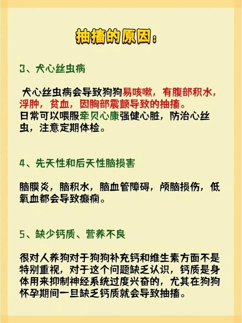 狗狗抽搐是怎么回事_狗狗抽搐最简单处理方法-第5张图片-后鲨宠物 狗狗抽搐是怎么回事_狗狗抽搐最简单处理方法-第5张图片-后鲨宠物