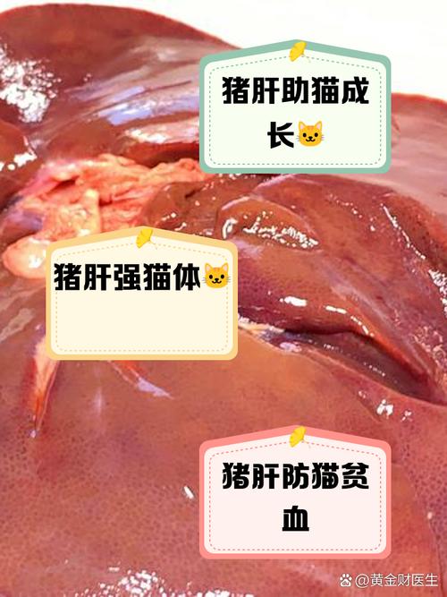 猫咪吃猪肝有什么好处,猫咪吃猪肝有什么好处和功效?-第6张图片-后鲨宠物 猫咪吃猪肝有什么好处,猫咪吃猪肝有什么好处和功效?-第6张图片-后鲨宠物