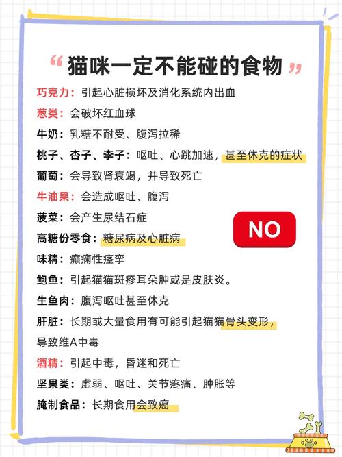 猫咪厌食怎么办,猫咪为什么突然不吃东西了-第6张图片-后鲨宠物 猫咪厌食怎么办,猫咪为什么突然不吃东西了-第6张图片-后鲨宠物