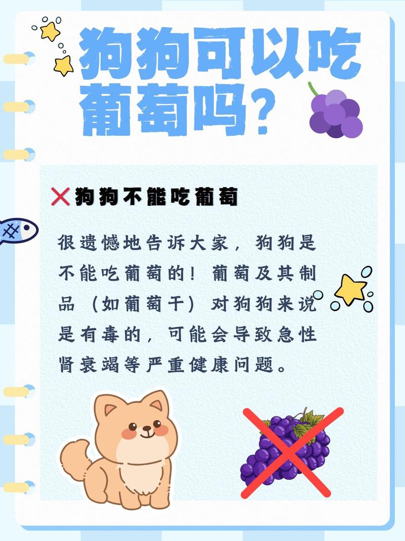 狗狗可以吃红提吗_狗狗可以吃红提吗?-第5张图片-后鲨宠物 狗狗可以吃红提吗_狗狗可以吃红提吗?-第5张图片-后鲨宠物