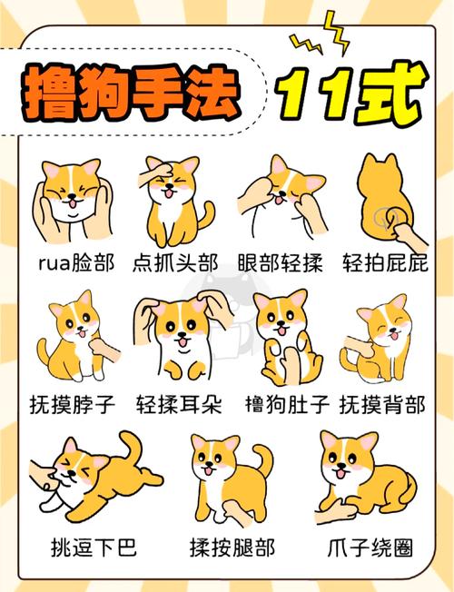  怎么摸狗狗舒服，怎么摸狗狗舒服-第6张图片-后鲨宠物