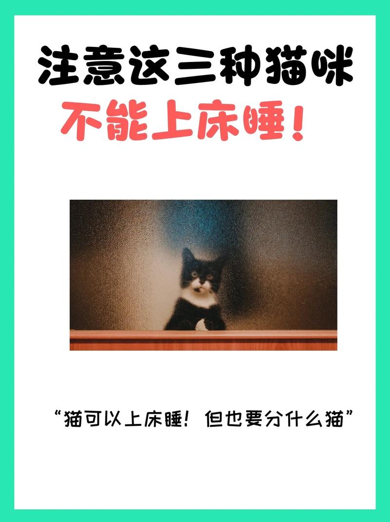 猫咪不喜欢什么味道_猫咪不喜欢什么味道并且无毒性-第4张图片-后鲨宠物 猫咪不喜欢什么味道_猫咪不喜欢什么味道并且无毒性-第4张图片-后鲨宠物
