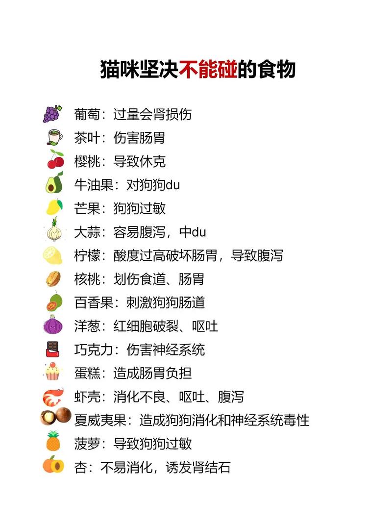 猫咪能吃冰淇淋吗,猫咪可以吃冰激凌么-第5张图片-后鲨宠物 猫咪能吃冰淇淋吗,猫咪可以吃冰激凌么-第5张图片-后鲨宠物