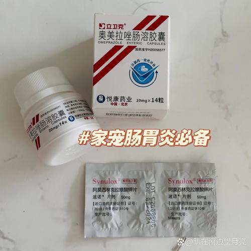 狗狗肠炎能吃什么食物_狗狗肠炎吃什么食物好恢复-第2张图片-后鲨宠物 狗狗肠炎能吃什么食物_狗狗肠炎吃什么食物好恢复-第2张图片-后鲨宠物