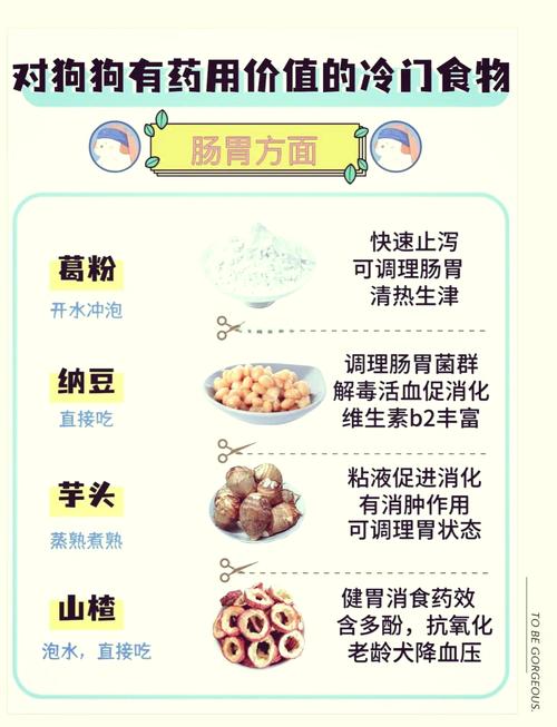 狗狗肠炎能吃什么食物_狗狗肠炎吃什么食物好恢复-第4张图片-后鲨宠物 狗狗肠炎能吃什么食物_狗狗肠炎吃什么食物好恢复-第4张图片-后鲨宠物