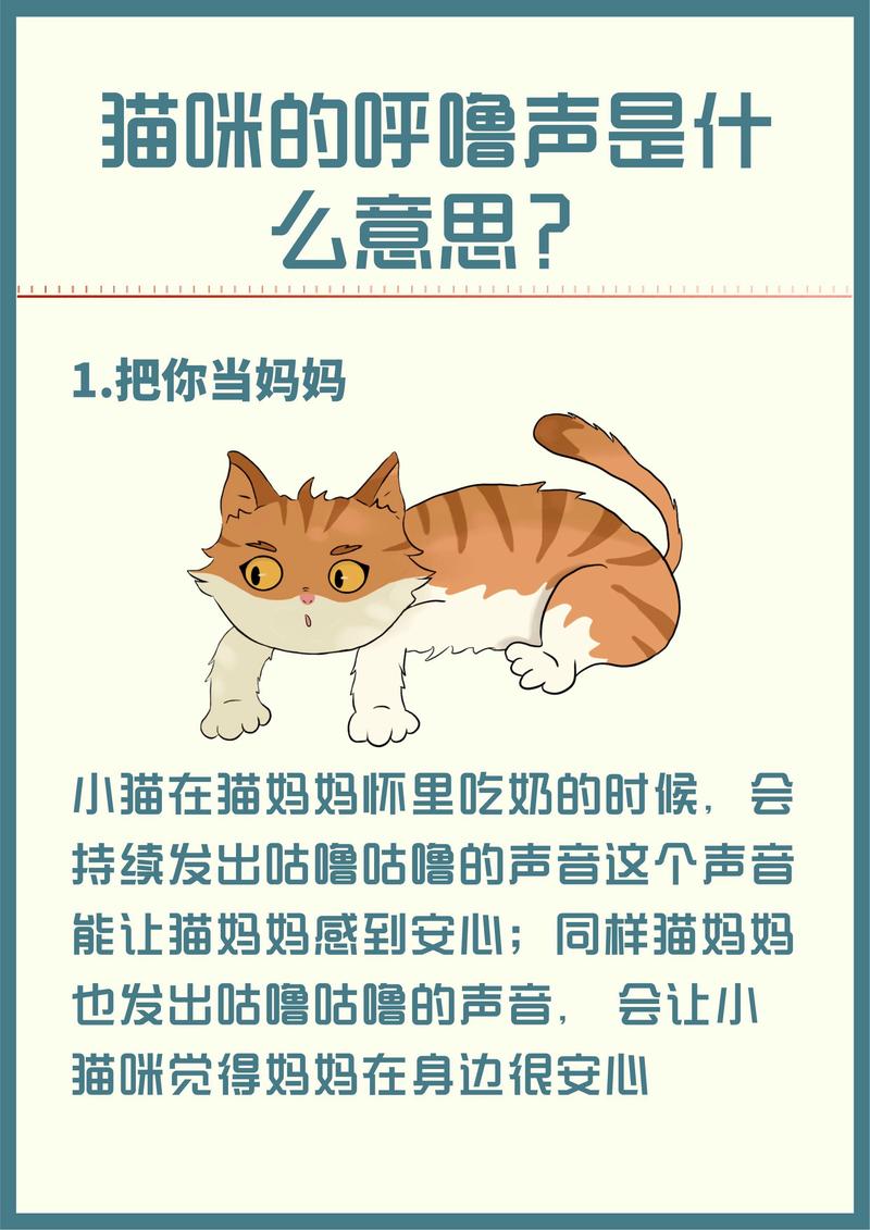 猫咪为什么打呼噜,猫咪为什么打呼噜踩奶?-第1张图片-后鲨宠物 猫咪为什么打呼噜,猫咪为什么打呼噜踩奶?-第1张图片-后鲨宠物