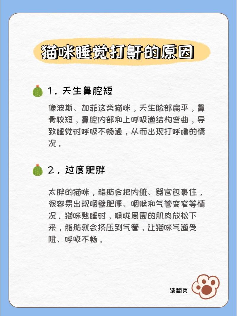 猫咪为什么打呼噜,猫咪为什么打呼噜踩奶?-第2张图片-后鲨宠物 猫咪为什么打呼噜,猫咪为什么打呼噜踩奶?-第2张图片-后鲨宠物