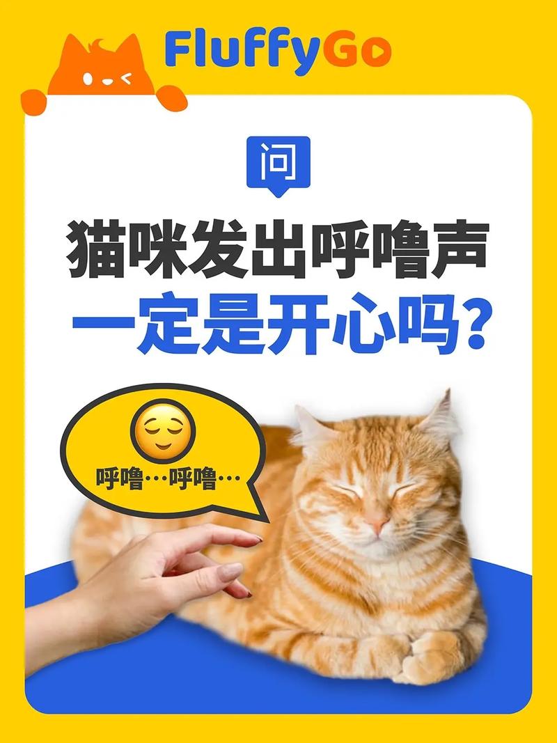 猫咪为什么打呼噜,猫咪为什么打呼噜踩奶?-第3张图片-后鲨宠物 猫咪为什么打呼噜,猫咪为什么打呼噜踩奶?-第3张图片-后鲨宠物