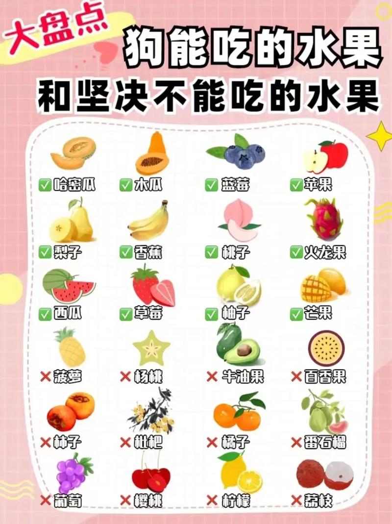狗狗不能吃的水果_狗狗能吃什么水果蔬菜和水果-第4张图片-后鲨宠物 狗狗不能吃的水果_狗狗能吃什么水果蔬菜和水果-第4张图片-后鲨宠物