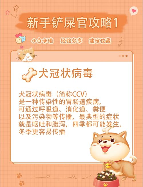 狗狗得冠状的症状,狗狗得冠状的症状是什么?-第6张图片-后鲨宠物 狗狗得冠状的症状,狗狗得冠状的症状是什么?-第6张图片-后鲨宠物