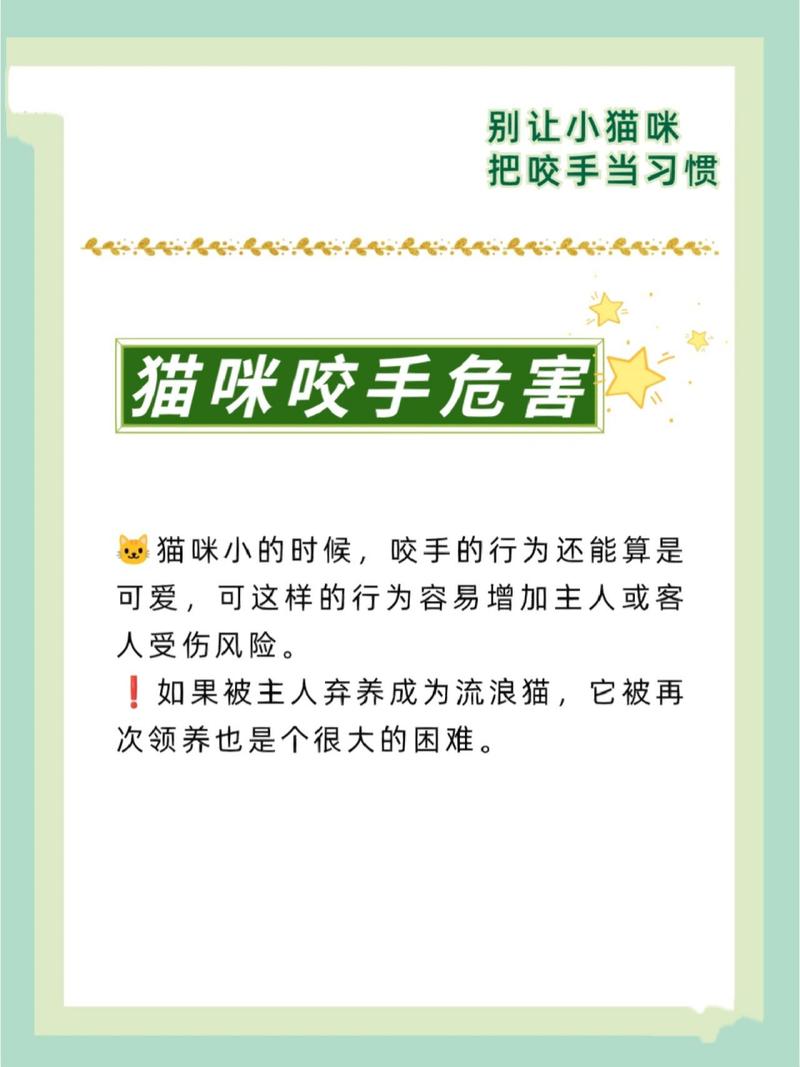 猫咪咬手怎么办,猫咪咬手怎么纠正?-第3张图片-后鲨宠物 猫咪咬手怎么办,猫咪咬手怎么纠正?-第3张图片-后鲨宠物