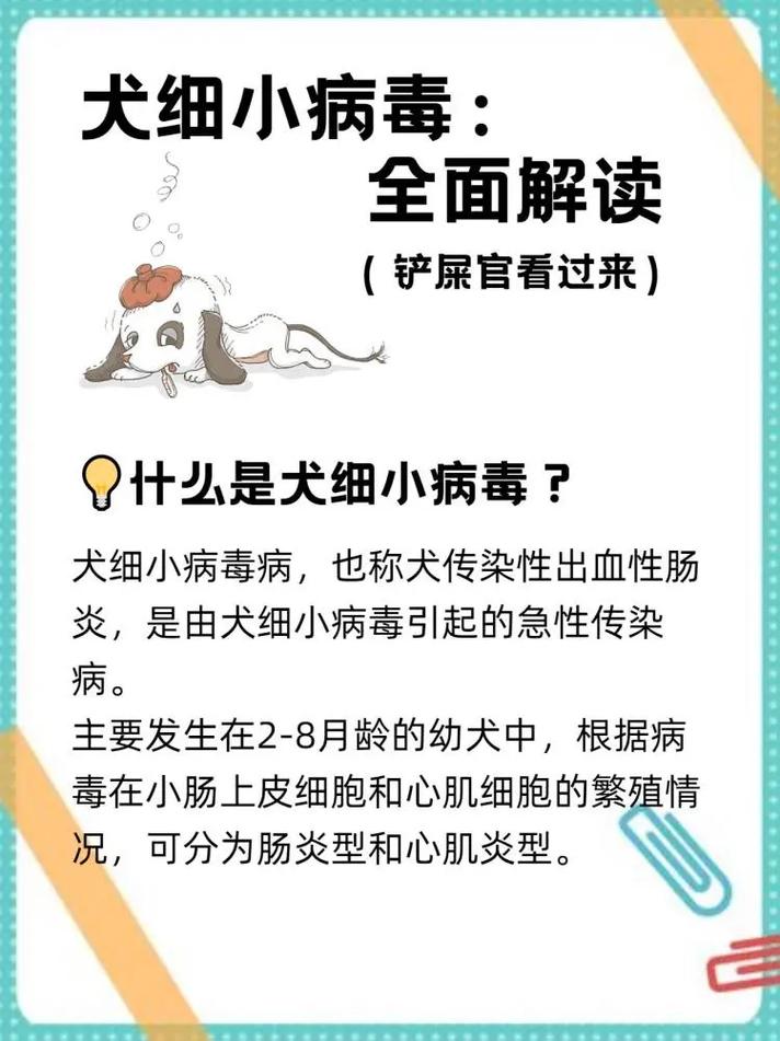 冠状病毒狗狗能治好吗,冠状病毒狗狗能治好吗会传染吗-第1张图片-后鲨宠物 冠状病毒狗狗能治好吗,冠状病毒狗狗能治好吗会传染吗-第1张图片-后鲨宠物
