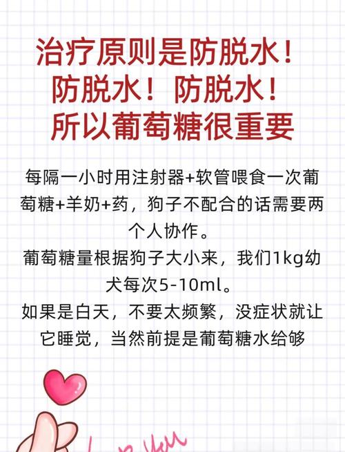 冠状病毒狗狗能治好吗,冠状病毒狗狗能治好吗会传染吗-第2张图片-后鲨宠物 冠状病毒狗狗能治好吗,冠状病毒狗狗能治好吗会传染吗-第2张图片-后鲨宠物