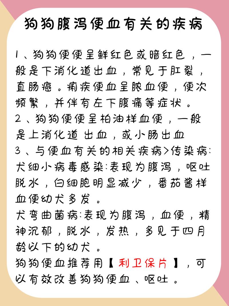 狗狗拉稀有血怎么回事,狗狗拉稀有血怎么回事儿-第5张图片-后鲨宠物 狗狗拉稀有血怎么回事,狗狗拉稀有血怎么回事儿-第5张图片-后鲨宠物