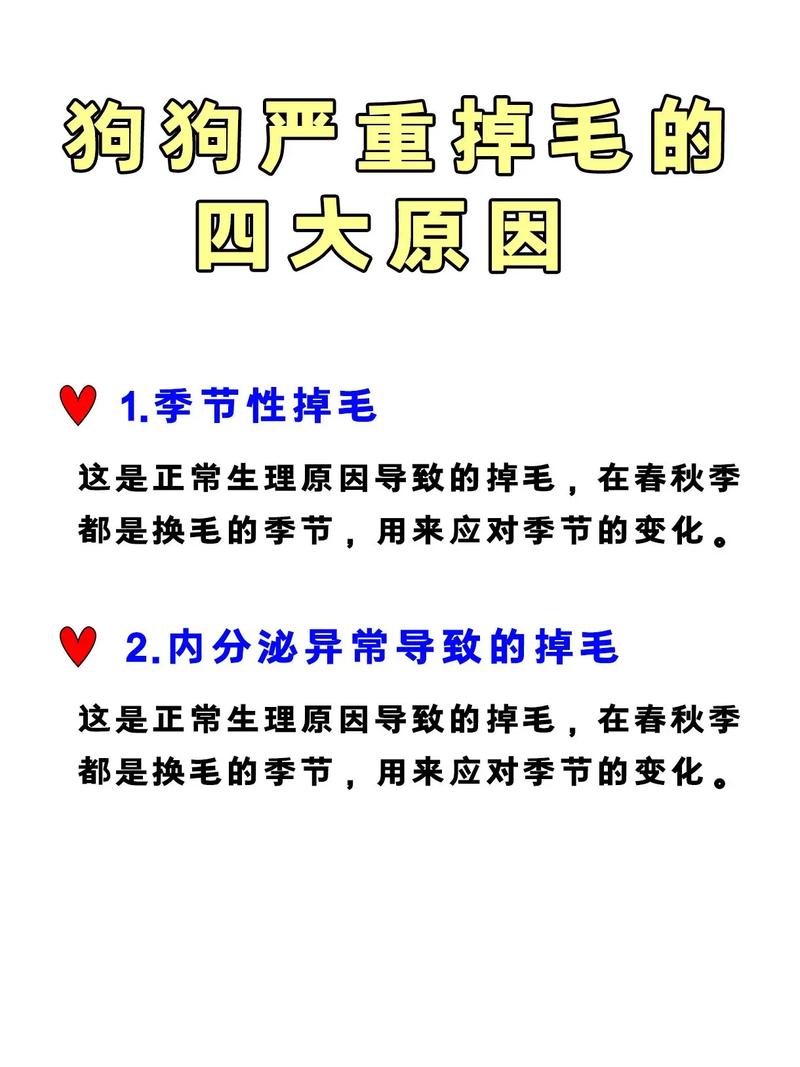 狗狗掉毛很厉害怎么办_狗狗掉毛很厉害怎么办冬天-第4张图片-后鲨宠物 狗狗掉毛很厉害怎么办_狗狗掉毛很厉害怎么办冬天-第4张图片-后鲨宠物