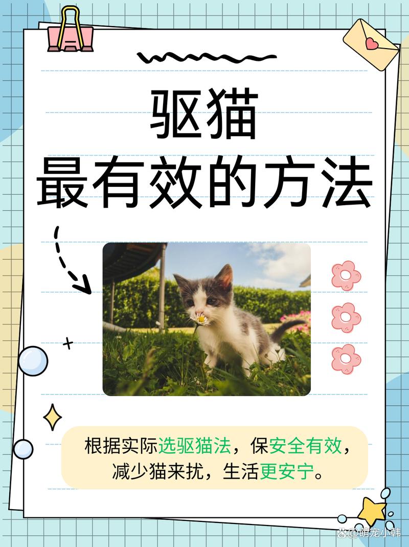 猫咪闹春最快解决方法,猫咪闹春最快解决方法假孕-第1张图片-后鲨宠物 猫咪闹春最快解决方法,猫咪闹春最快解决方法假孕-第1张图片-后鲨宠物