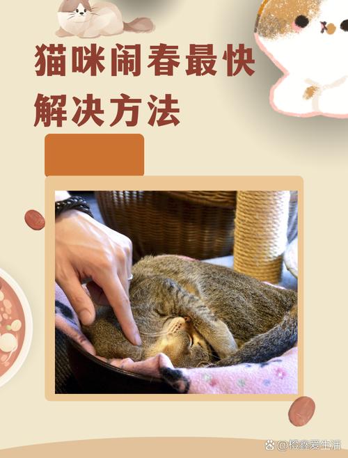 猫咪闹春最快解决方法,猫咪闹春最快解决方法假孕-第4张图片-后鲨宠物 猫咪闹春最快解决方法,猫咪闹春最快解决方法假孕-第4张图片-后鲨宠物