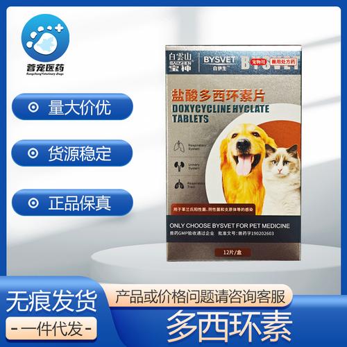 狗狗流清鼻涕吃什么药_狗 流清鼻涕-第1张图片-后鲨宠物 狗狗流清鼻涕吃什么药_狗 流清鼻涕-第1张图片-后鲨宠物