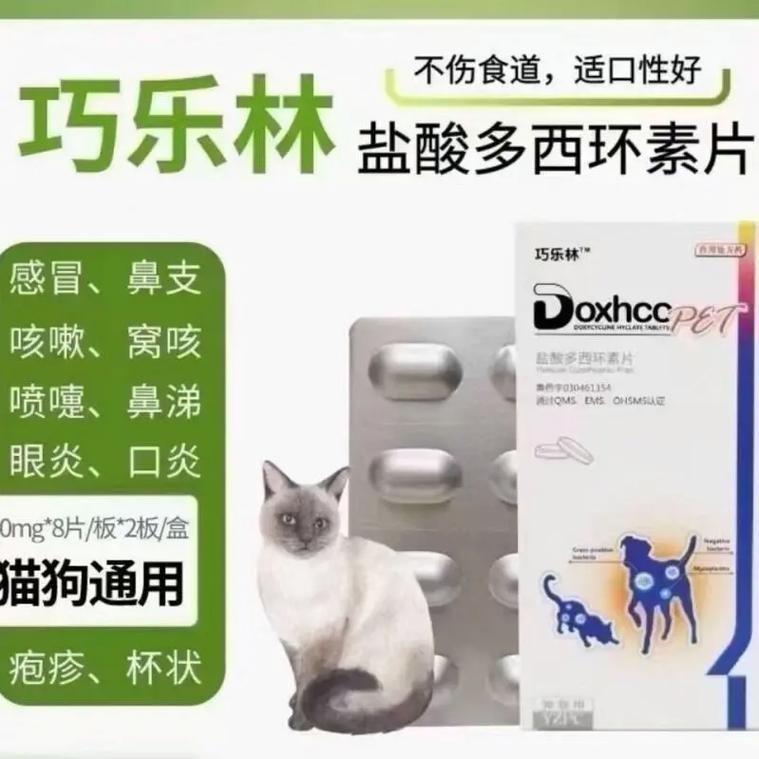 狗狗流清鼻涕吃什么药_狗 流清鼻涕-第6张图片-后鲨宠物 狗狗流清鼻涕吃什么药_狗 流清鼻涕-第6张图片-后鲨宠物