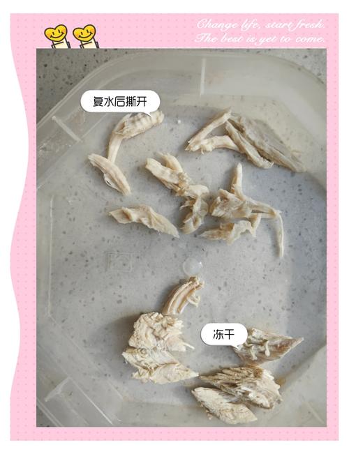 猫咪的鸡胸肉怎么做,猫咪鸡胸肉怎么做肉干?-第4张图片-后鲨宠物 猫咪的鸡胸肉怎么做,猫咪鸡胸肉怎么做肉干?-第4张图片-后鲨宠物