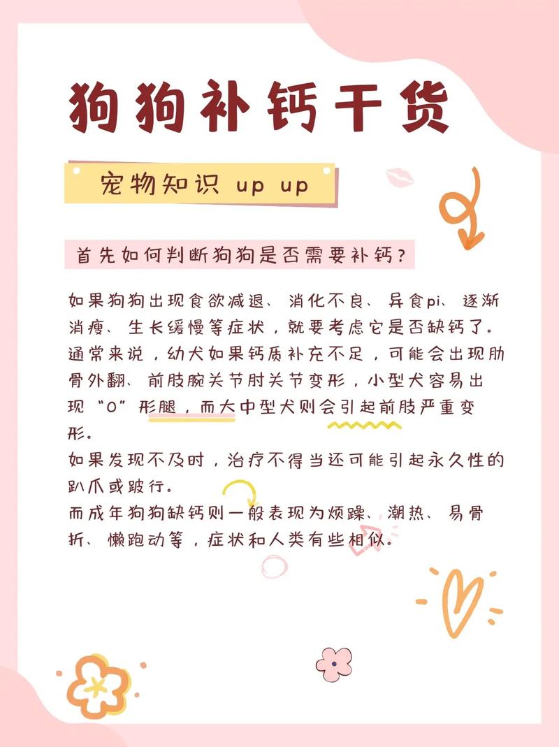 狗狗不吃钙片怎么办_狗狗不吃液体钙怎么办-第1张图片-后鲨宠物 狗狗不吃钙片怎么办_狗狗不吃液体钙怎么办-第1张图片-后鲨宠物