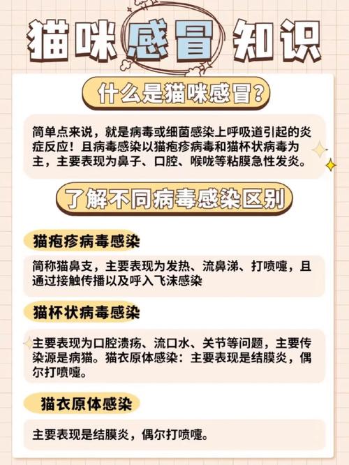 猫咪洗澡感冒了怎么办,猫咪洗完澡感冒的症状?-第2张图片-后鲨宠物 猫咪洗澡感冒了怎么办,猫咪洗完澡感冒的症状?-第2张图片-后鲨宠物