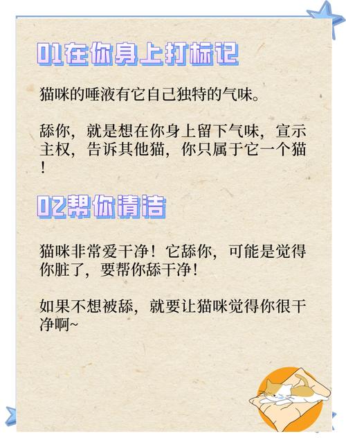 猫咪舔你是什么意思_怎么确定猫认主人了-第1张图片-后鲨宠物 猫咪舔你是什么意思_怎么确定猫认主人了-第1张图片-后鲨宠物