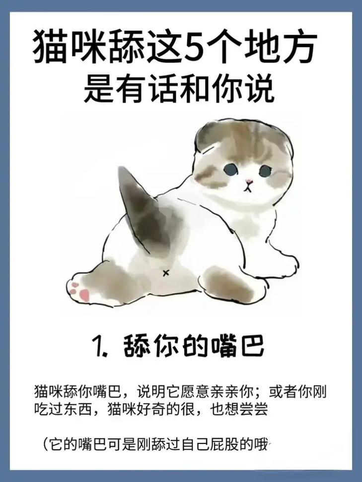 猫咪舔你是什么意思_怎么确定猫认主人了-第3张图片-后鲨宠物 猫咪舔你是什么意思_怎么确定猫认主人了-第3张图片-后鲨宠物