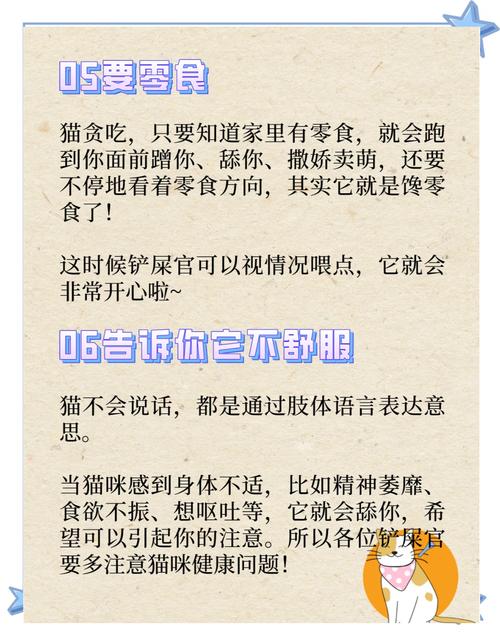 猫咪舔你是什么意思_怎么确定猫认主人了-第5张图片-后鲨宠物 猫咪舔你是什么意思_怎么确定猫认主人了-第5张图片-后鲨宠物