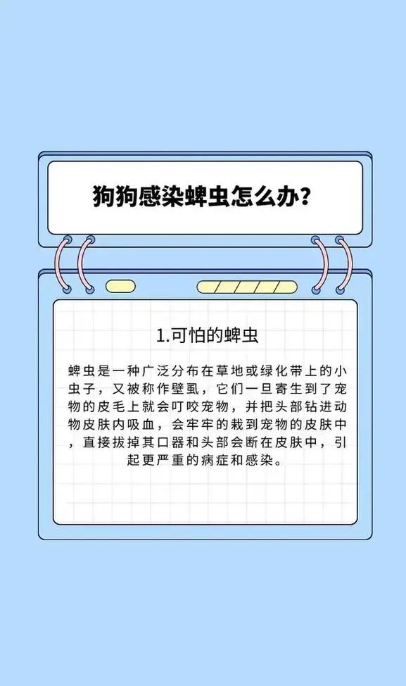 如何去除狗狗身上的蜱虫,如何有效去除狗狗身上的蜱虫-第2张图片-后鲨宠物 如何去除狗狗身上的蜱虫,如何有效去除狗狗身上的蜱虫-第2张图片-后鲨宠物