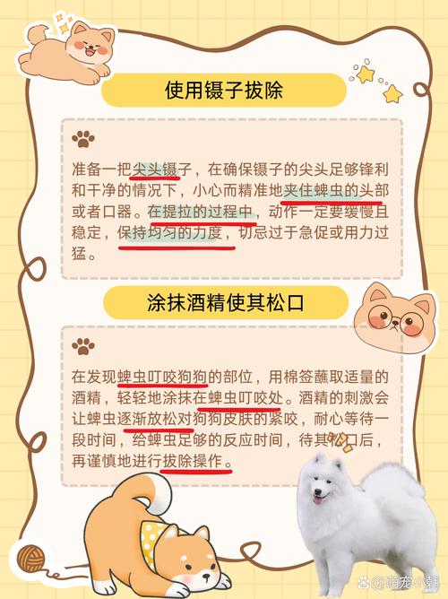 如何去除狗狗身上的蜱虫,如何有效去除狗狗身上的蜱虫-第5张图片-后鲨宠物 如何去除狗狗身上的蜱虫,如何有效去除狗狗身上的蜱虫-第5张图片-后鲨宠物