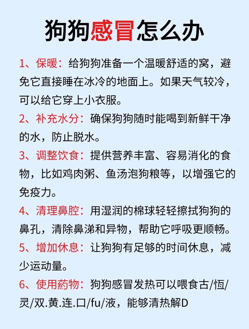 狗狗流鼻涕会自己好吗,狗狗流鼻涕打喷嚏吃什么药?-第2张图片-后鲨宠物 狗狗流鼻涕会自己好吗,狗狗流鼻涕打喷嚏吃什么药?-第2张图片-后鲨宠物