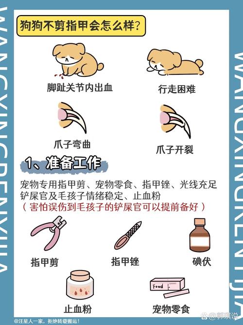 怎么给狗狗剪指甲_怎么给狗狗剪指甲不咬人-第1张图片-后鲨宠物 怎么给狗狗剪指甲_怎么给狗狗剪指甲不咬人-第1张图片-后鲨宠物