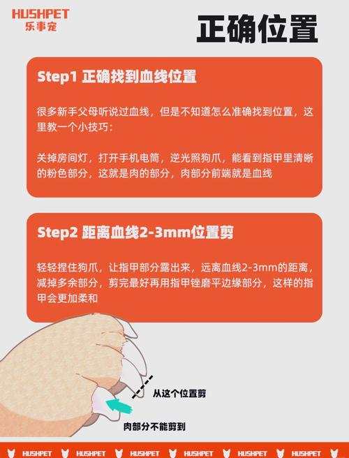 怎么给狗狗剪指甲_怎么给狗狗剪指甲不咬人-第2张图片-后鲨宠物 怎么给狗狗剪指甲_怎么给狗狗剪指甲不咬人-第2张图片-后鲨宠物