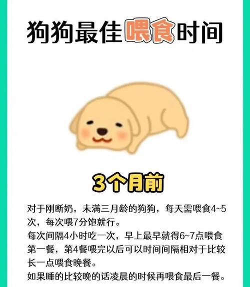  小狗狗什么时候断奶，小狗什么时候能断奶吃食啊-第1张图片-后鲨宠物